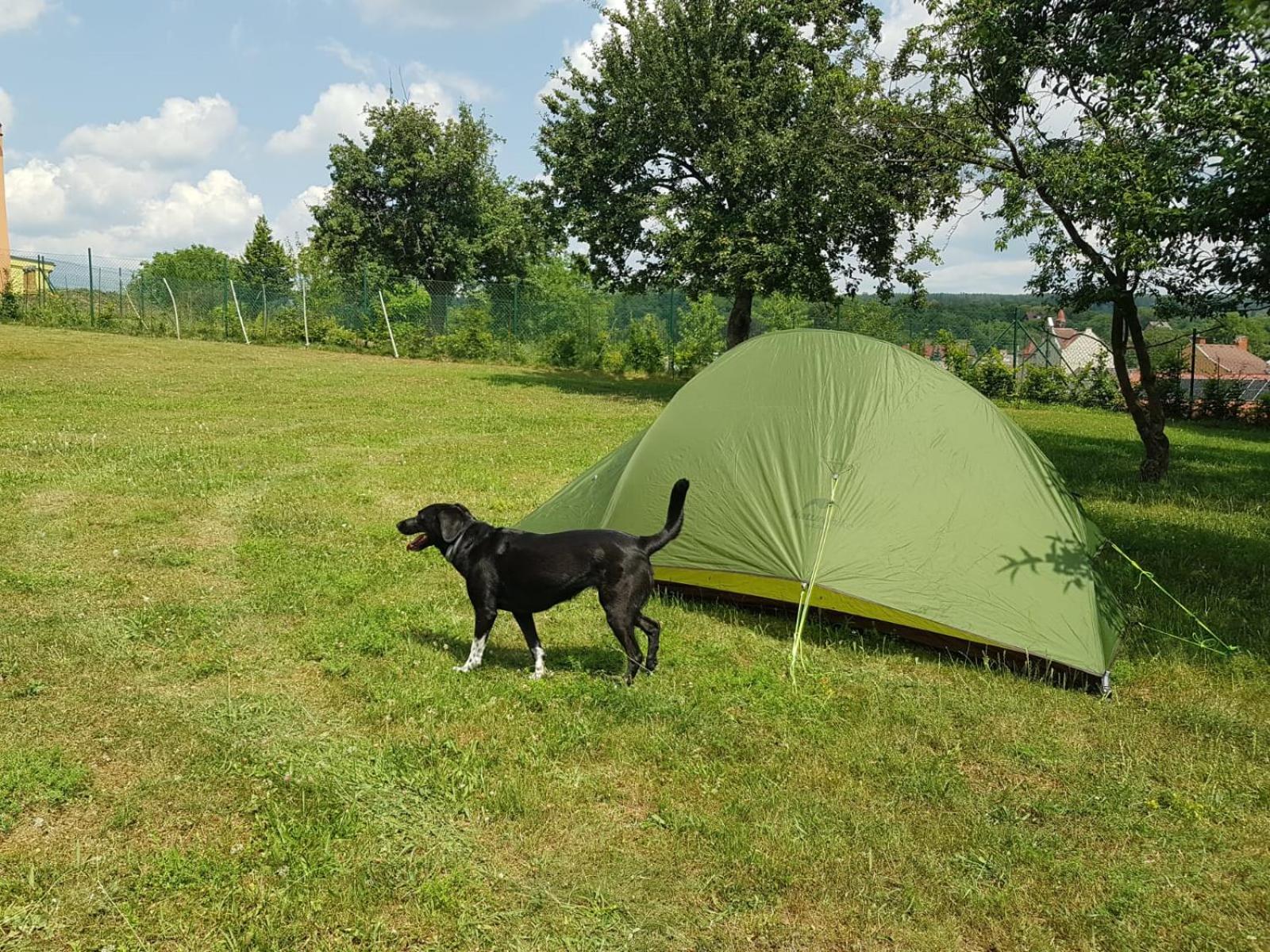 Campsite -chatky-doctor Choustnikovo Hradiste